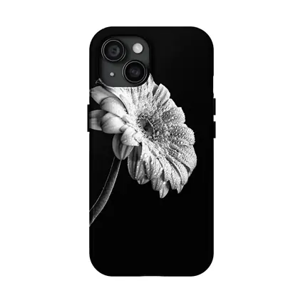 Gerbera Daisy Black White Moody Photography