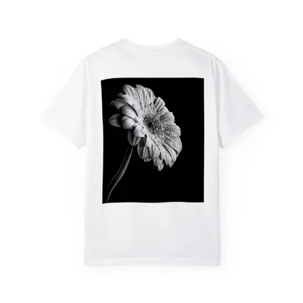 Gerbera Daisy Black White Moody Photography