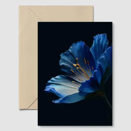 Blue Flower Golden Stamens Dark Background