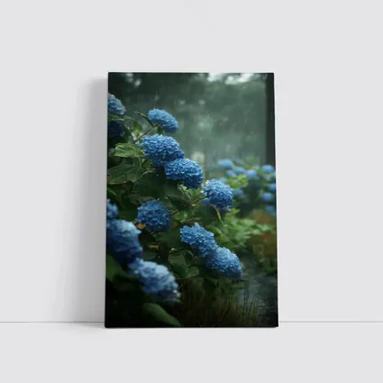 Blue Hydrangeas Blooming in Rainy Garden