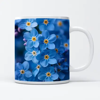 Forget Me Not Blue Flowers Close Up