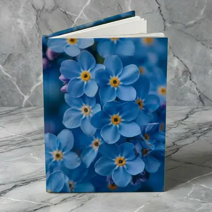 Forget Me Not Blue Flowers Close Up