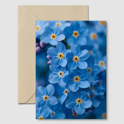 Forget Me Not Blue Flowers Close Up