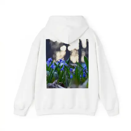 Blue Scilla Flowers Forest Bokeh Spring