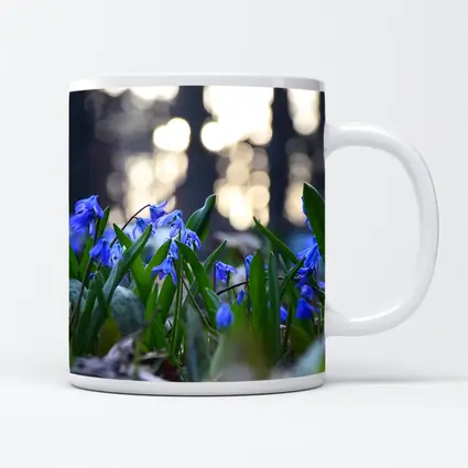 Blue Scilla Flowers Forest Bokeh Spring