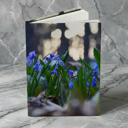 Blue Scilla Flowers Forest Bokeh Spring