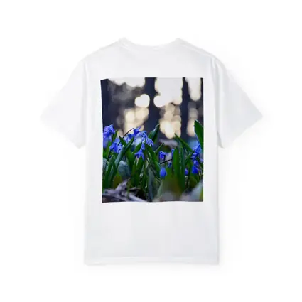 Blue Scilla Flowers Forest Bokeh Spring