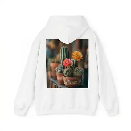 Blooming Cacti in Terracotta Pots Shelf
