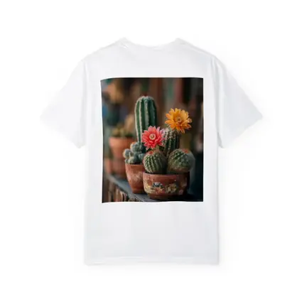 Blooming Cacti in Terracotta Pots Shelf