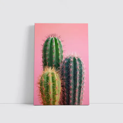 Three Green Cacti on Pink Background