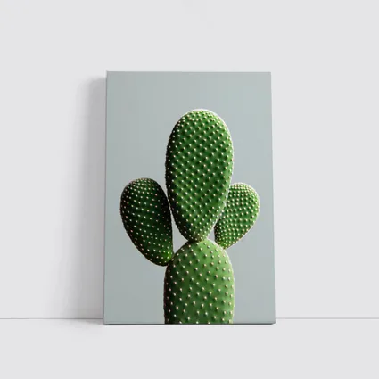 Prickly Pear Cactus on Gray Background