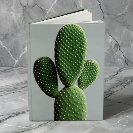 Prickly Pear Cactus on Gray Background