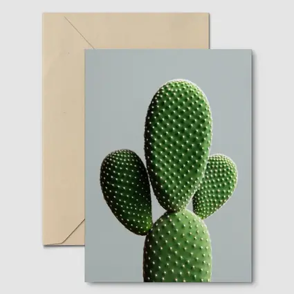 Prickly Pear Cactus on Gray Background