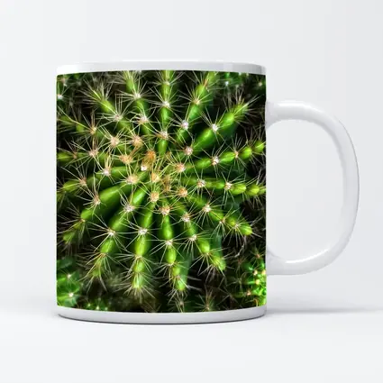 Green Cactus Close Up Top View