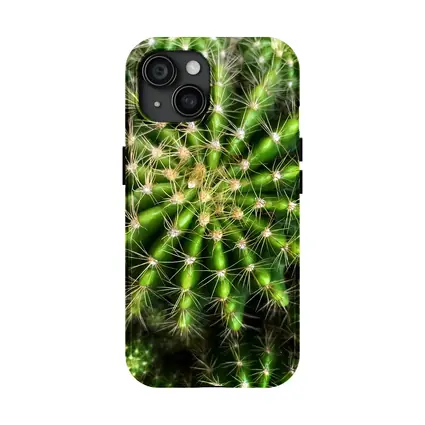 Green Cactus Close Up Top View