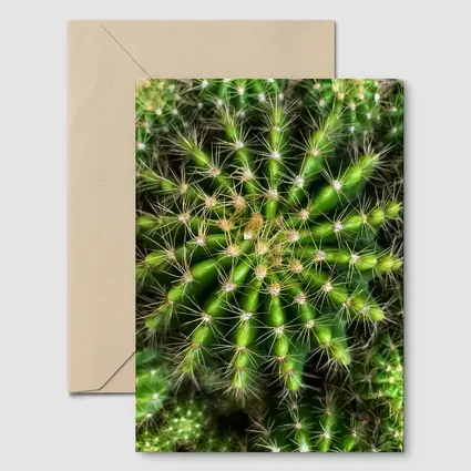 Green Cactus Close Up Top View