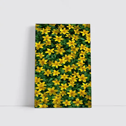 Yellow Wildflowers Dense Green Foliage Background