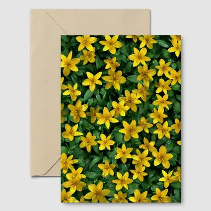 Yellow Wildflowers Dense Green Foliage Background