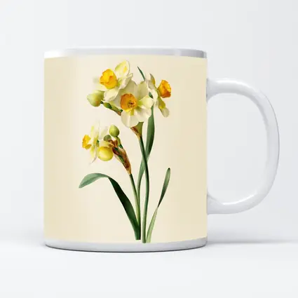 Narcissus Daffodil Botanical Art Beige Background