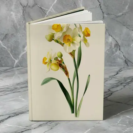 Narcissus Daffodil Botanical Art Beige Background