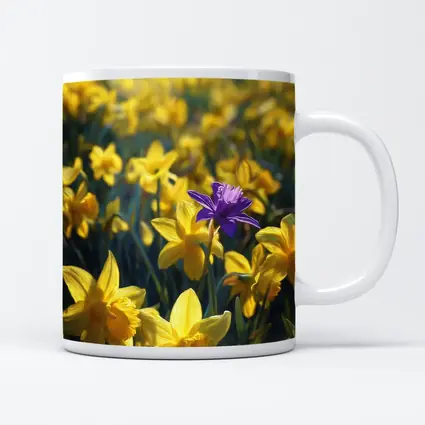 Yellow Daffodils Field Single Purple Flower