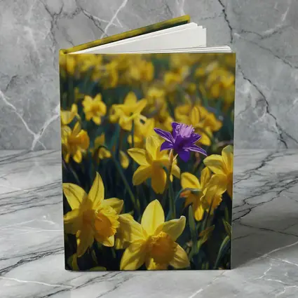 Yellow Daffodils Field Single Purple Flower