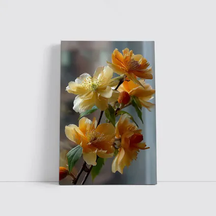 Yellow Orange Blossom Flowers Branch Close Up