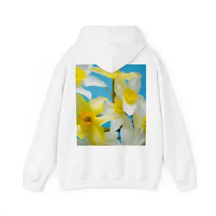 White Yellow Daffodils Blue Background
