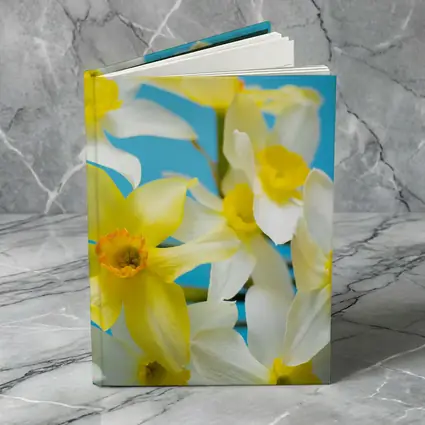 White Yellow Daffodils Blue Background