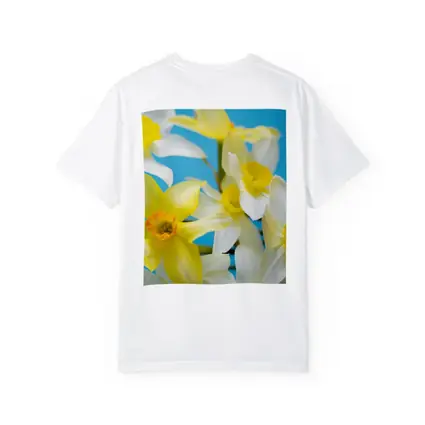 White Yellow Daffodils Blue Background