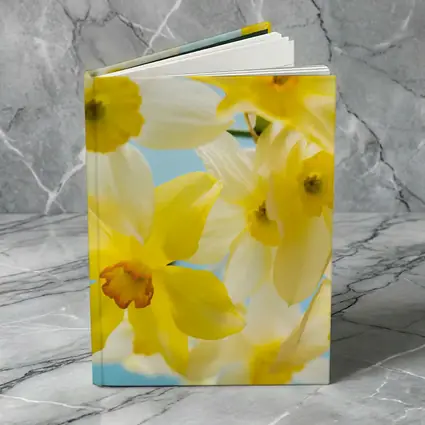 Yellow White Daffodils Blue Sky Background