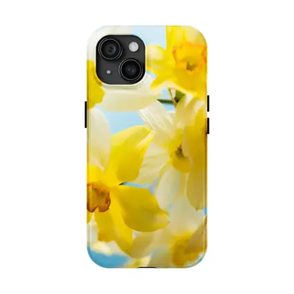 Yellow White Daffodils Blue Sky Background