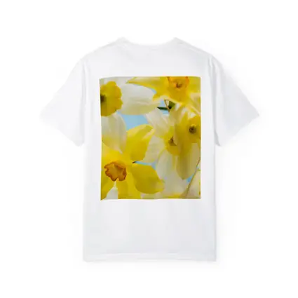 Yellow White Daffodils Blue Sky Background
