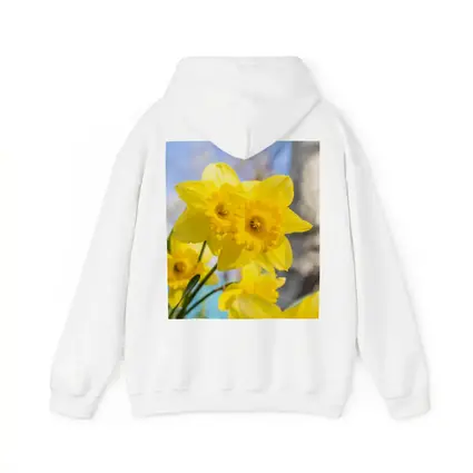 Yellow Daffodils Blue Sky Spring Garden