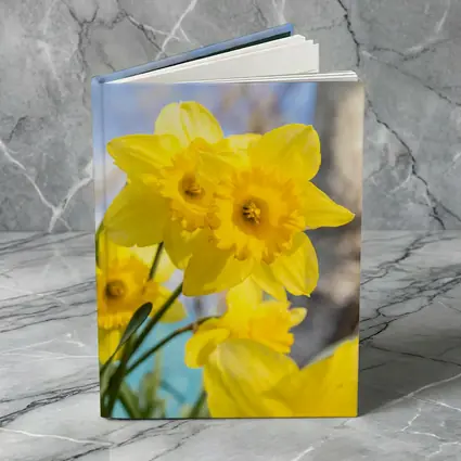 Yellow Daffodils Blue Sky Spring Garden