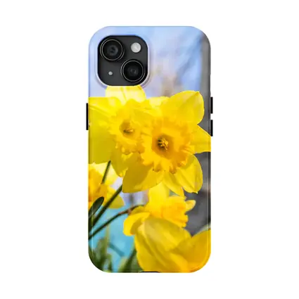 Yellow Daffodils Blue Sky Spring Garden