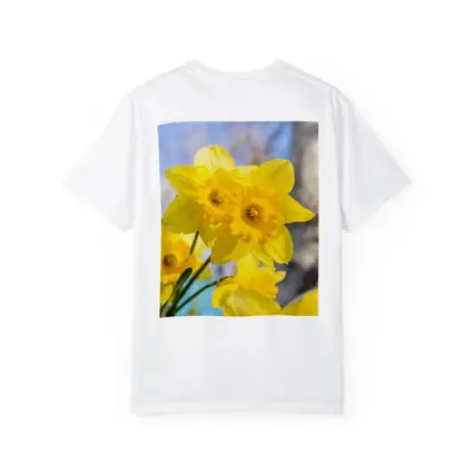 Yellow Daffodils Blue Sky Spring Garden