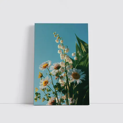 Daisies And Lily Of The Valley Blue Sky