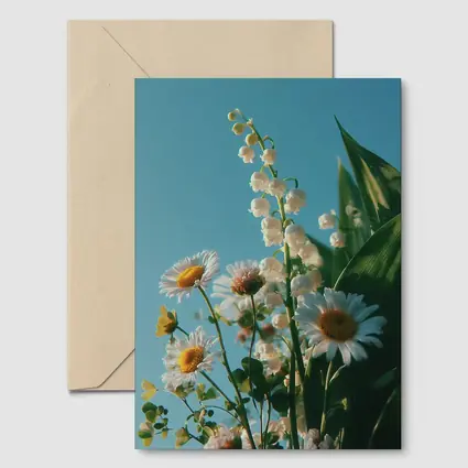 Daisies And Lily Of The Valley Blue Sky