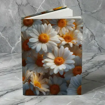 White Daisy Flowers Golden Centers Close Up
