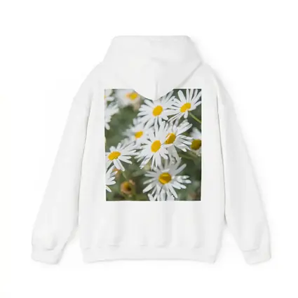 White Daisy Flowers Green Garden Background