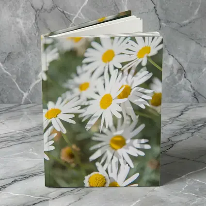 White Daisy Flowers Green Garden Background