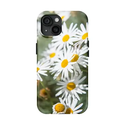 White Daisy Flowers Green Garden Background
