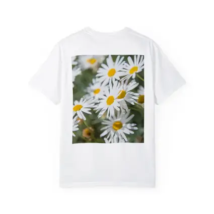 White Daisy Flowers Green Garden Background