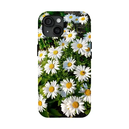White Daisies Blooming In Green Garden