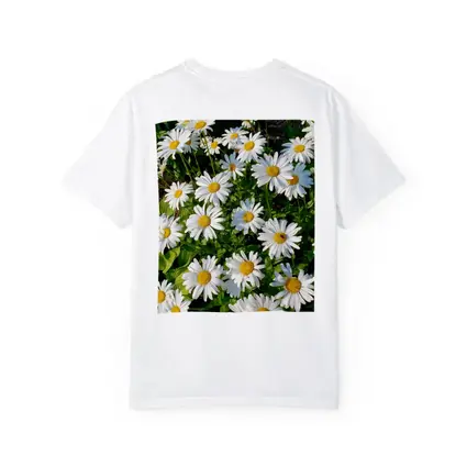 White Daisies Blooming In Green Garden