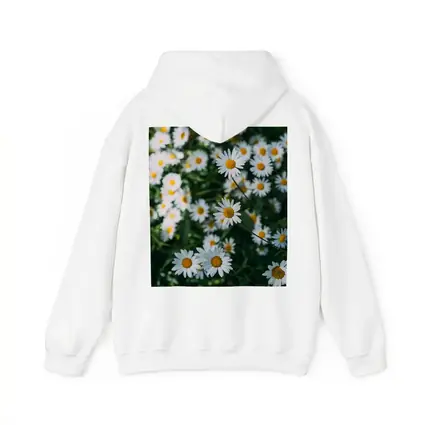 White Daisies Blooming Over Green Garden