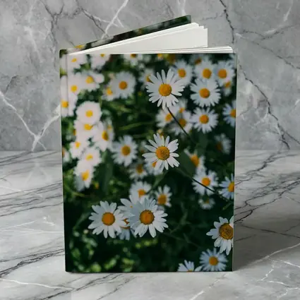 White Daisies Blooming Over Green Garden