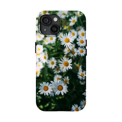 White Daisies Blooming Over Green Garden