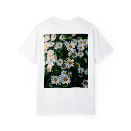 White Daisies Blooming Over Green Garden